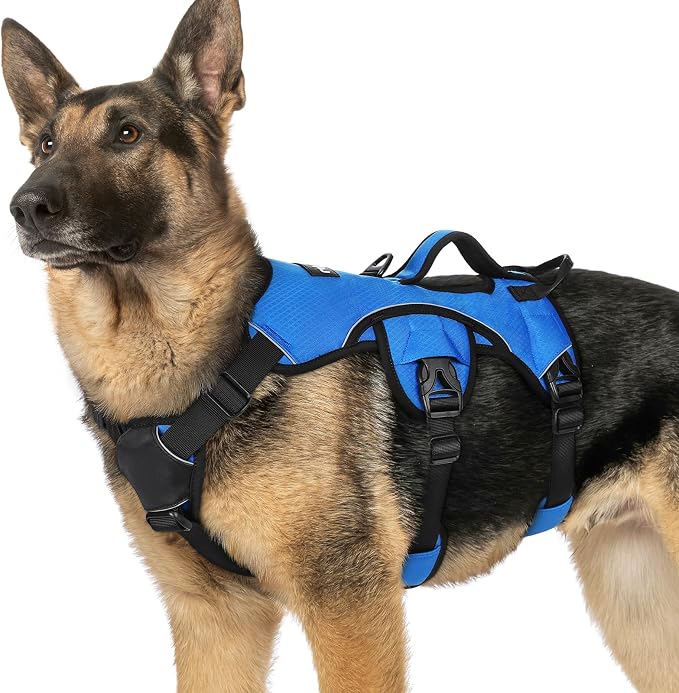 rabbitgoo Escape Proof Dog Harness for X-Large, No Pull with Lift Handle | No Escape, Full Soft Padded, Reflective Adjustable Vest, Leash Clip for Walking Hiking Training, Blue, X-Large by rabbitgoo