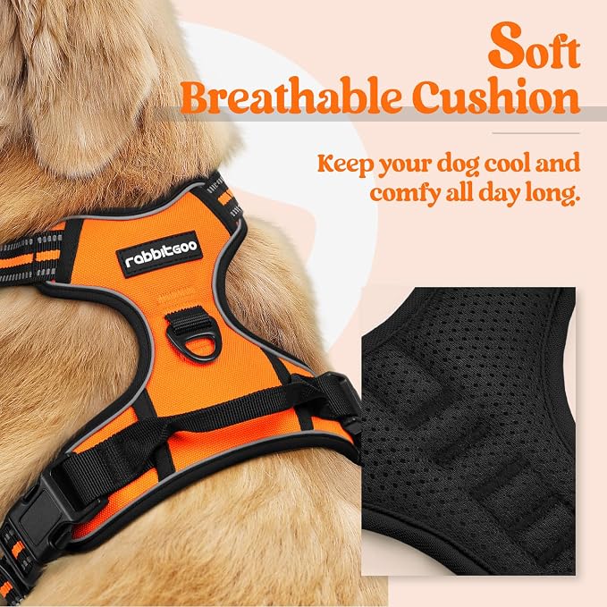 rabbitgoo Dog Harness, No Pull for Small Dogs with 2 Leash Clips, Pet Vest | No Choke with Handle, Adjustable Soft Padded, Reflective, Easy Control for Walking, Orange, Small - Image 2