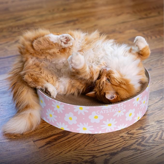 Catstages Scratch & Snuggle 2-in-1 Cat Scratcher & Lounger, Corrugated Cardboard Scratching Pad, Bowl-Shaped Design for Kittens & Indoor Cats up to 15 lbs, 16" - Image 5