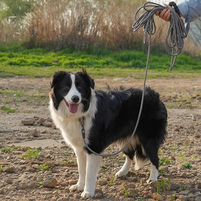 NTR Long Leash for Dog Training, 100FT Dog Leashes for Large Breed Dogs with Swivel Lockable Hook and Comfortable Padded Handle,Dog Lead Check Cord for Small Medium and Large Dogs - Image 7