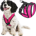 Gooby Comfort X Head-in Dog Harness, Choke-Free, Flamingo Pink, Small | Patented choke-free X-frame; Secure head-in fit; Lightweight breathable mesh; Back metal D-ring; Machine washable by Gooby