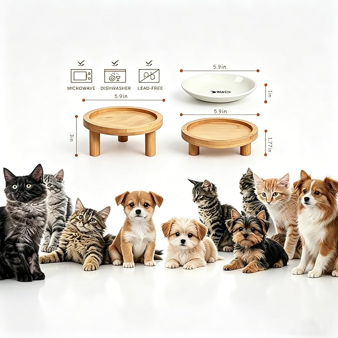 Shallow Elevated Cat Bowls, 2, White (Fish Bone), Bamboo Stand | 5.9 Inch Wide, Ceramic Dishes, Whisker Friendly, Raised Pet Food, Adjustable - Image 2