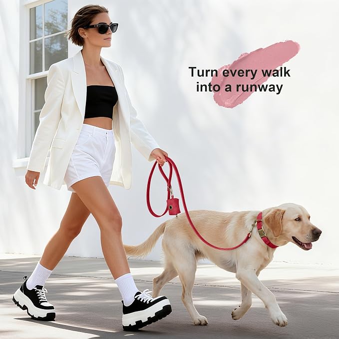 Didog Dog Poop Bag Holder for Leash, Stylish PU Leather, Red | Easy Clean for Daily Walking, Quick to Install on Leash & Harness, Easy-Pull with Metal Clip, Includes 1 Roll Pet Waste Bag - Image 4