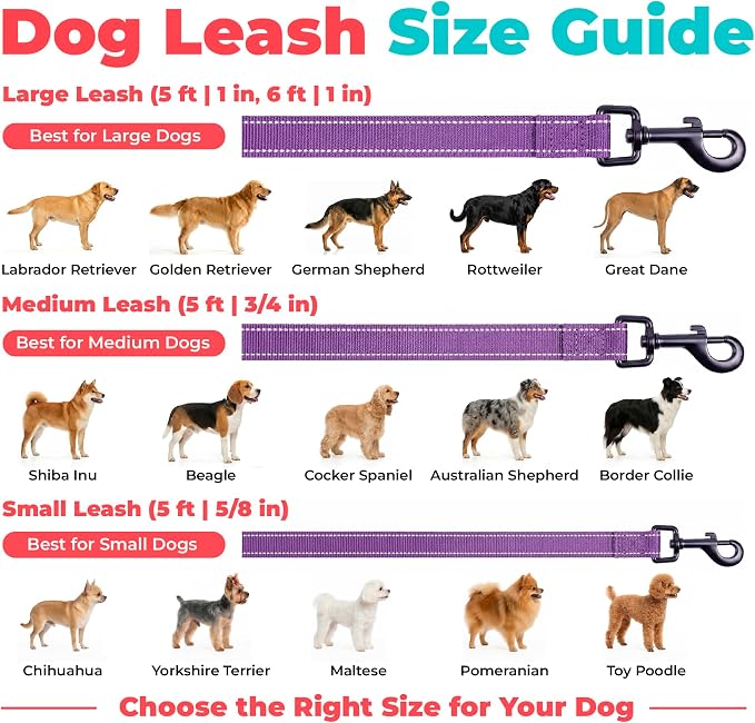 Best Pet Supplies Voyager Nylon Dog Leash - Purple, Medium | 5ft in Length, 3/4" in Width, Reflective, Soft Neoprene Handle, Heavy Duty Metal Clips for Running, Walking & Training - Image 6
