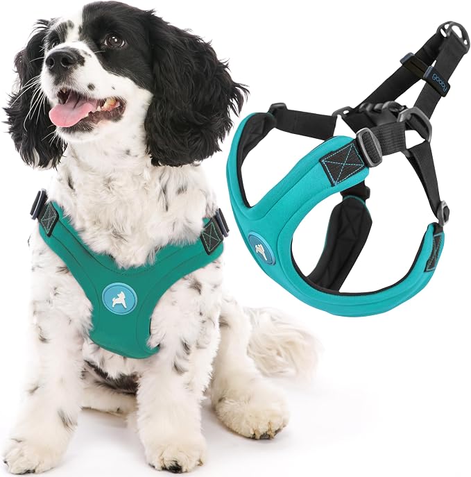 Gooby Escape Free Sport Dog Harness, Choke-Free, Turquoise, Small | Patented escape-free frame; Reduces choking; 4-point adjustment; Soft neoprene padding; Durable webbed straps by Gooby