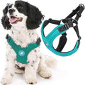 Gooby Escape Free Sport Dog Harness, Choke-Free, Turquoise, Small | Patented escape-free frame; Reduces choking; 4-point adjustment; Soft neoprene padding; Durable webbed straps by Gooby