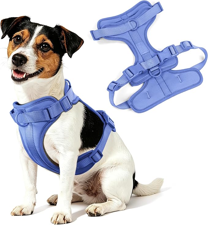 Wisedog No Pull Dog Harness, Blue, X-Small | Lightweight, Adjustable Breathable Pet Vest, Soft & Comfortable Cushion, Small Medium Large Dogs - Image 8