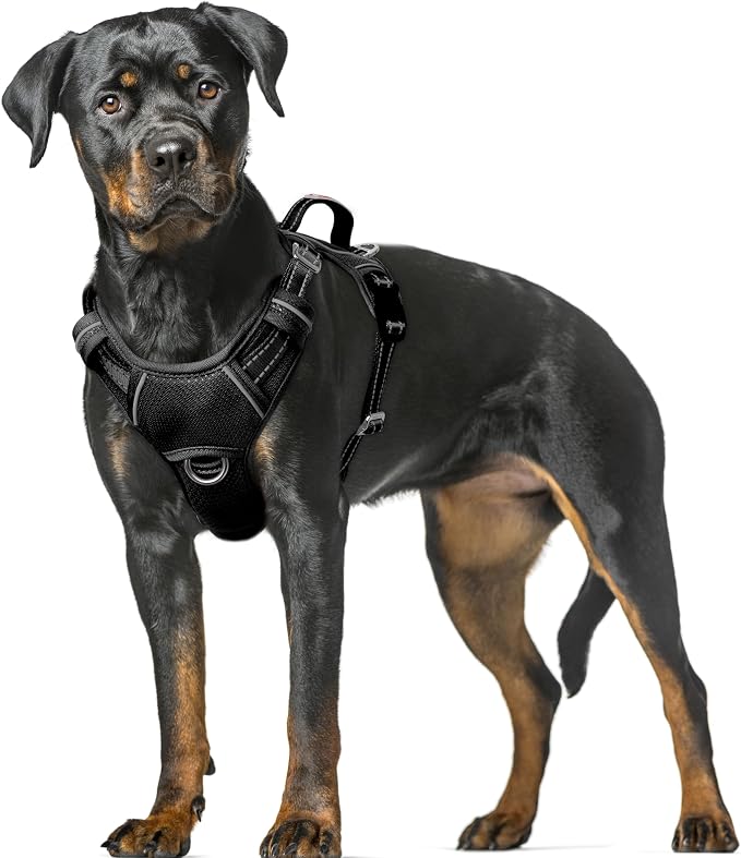 BARKBAY No Pull Dog Harness Large Reflective Dog Harness with Front Clip and Easy Control Handle for Walking Training Running with ID tag Pocket(Black,XL) by BARKBAY