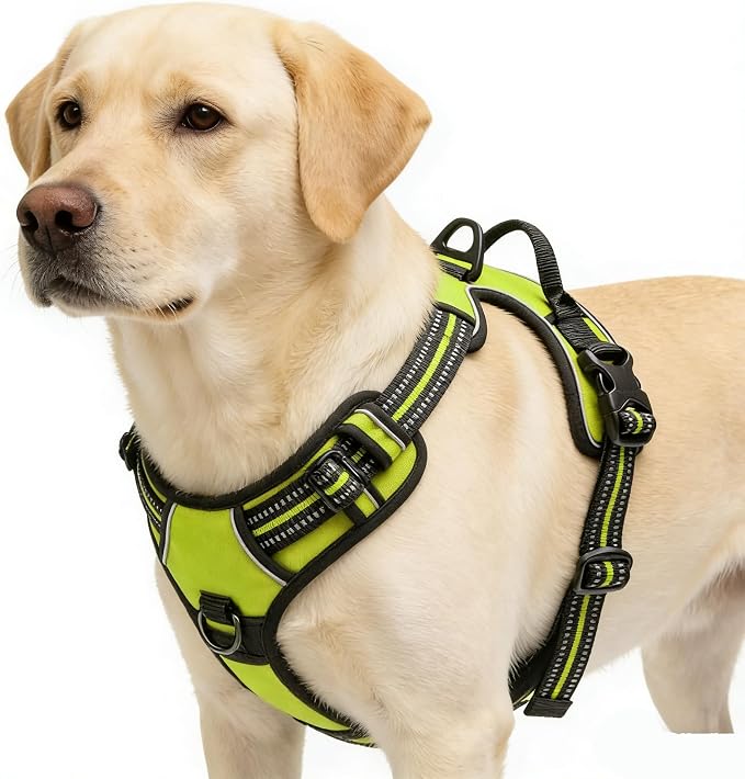 Green No-Pull Dog Harness with 2 Leash Clips，Soft Padded Vest for Small Dog, Adjustable Reflective Dog Vest Easy to Put on and Take Off,(Neck: 13"~17", Chest: 17"~21",Green Small) by Unknown