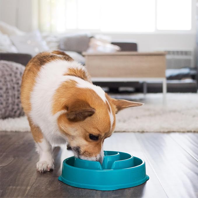 Outward Hound Fun Feeder Slo Bowl – Medium 2‑Cup Capacity, Slow Feeding, Small to Medium Dogs & Cats, Non-Slip, Turquoise, Drop Pattern | Slows Fast Eaters, Can Aid Digestion, Holds 2 Cups Dry or Wet Food, Non-Slip, Easy Clean, No BPA, Small to Medium ... - Image 6