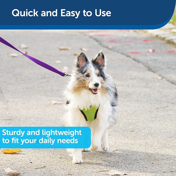 PetSafe Nylon Dog Leash - Strong, Durable, Traditional Style Leash with Easy to Use Bolt Snap - 1 in. x 6 ft., Deep Purple | Durable Nylon Leash with Easy on/off Bolt Snap Hook, Pairs Perfectly with Easy Walk Harness and Gentle Leader Headcollar - Image 3