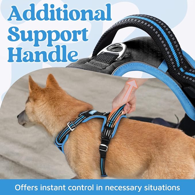 rabbitgoo Dog Harness Medium Sized, No Pull 3 Buckles Easy On & Off | Soft Padded, Walking with Control Handle, Adjustable and Reflective, Black & Blue, Medium - Image 4