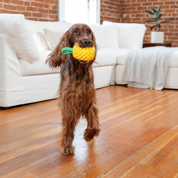 Outward Hound Dental Pineapple Dog Toy & Treat Stuffer, 6.8″ x 3.3″ Pineapple-Scent Interactive Chew for Dogs, Promote Healthy Teeth, Gums & Mental Enrichment, Reduce Boredom & Support Dental Health - Image 8