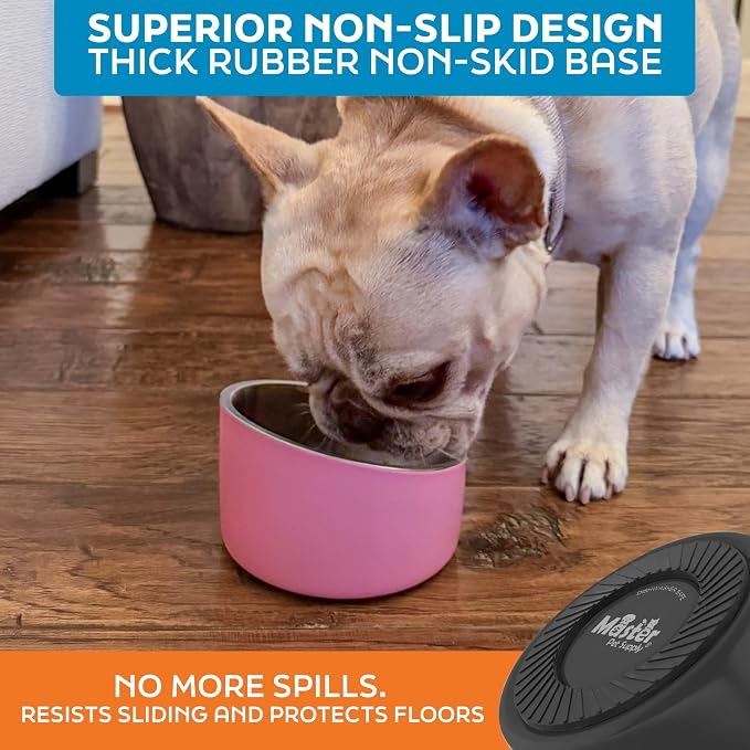 Master Pet Supply Stainless Steel Slanted Dog Cat Food Bowl 8 oz Black | Heavy Duty Double Wall Insulated Non-Slip Elevated Bowl for French Bulldogs Pugs Cats Anti Rust Dishwasher Safe, Black Velvet - Image 5