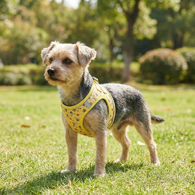 Mihqy Step in Dog Harness and Leash Set, Soft Breathable Mesh, Bee,S | Reflective, Adjustable No Pull Harnesses for Small Dogs Puppy and Cats, Lightweight Vest Harnesses, Fashion Floral Design - Image 5