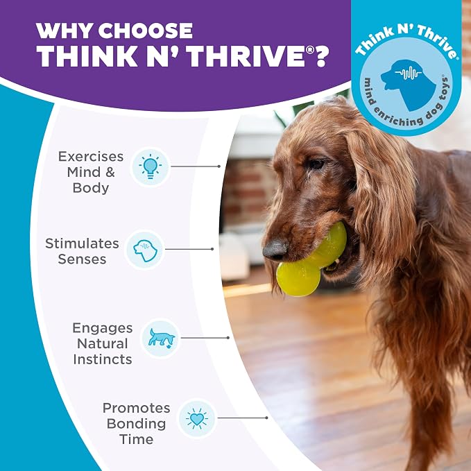 Outward Hound by Planet Dog Double-Tuff Stuffable Dog Toy, Large 5-Inch Green - Treat Dispensing Chew Ball for Medium to Large Dogs, Interactive Puzzle for Enrichment & Slow Feeding - Image 6