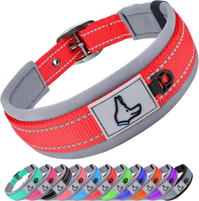 Joytale Reflective Dog Collar for Medium Dogs with Wide Padding, Red | Soft Cushion Reduce Neck Strain, Night Safety Walking, Metal Buckle and Adjustable Eyelets, Separated Dog ID Tag Ring by Joytale