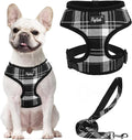 PUPTECK Small Dog Harness and Leash Set No Pull for XS XXS Sized Dogs Puppy | Escape Proof No Choke Pet Cat Adjustable Soft Padded Walking Vest by PUPTECK
