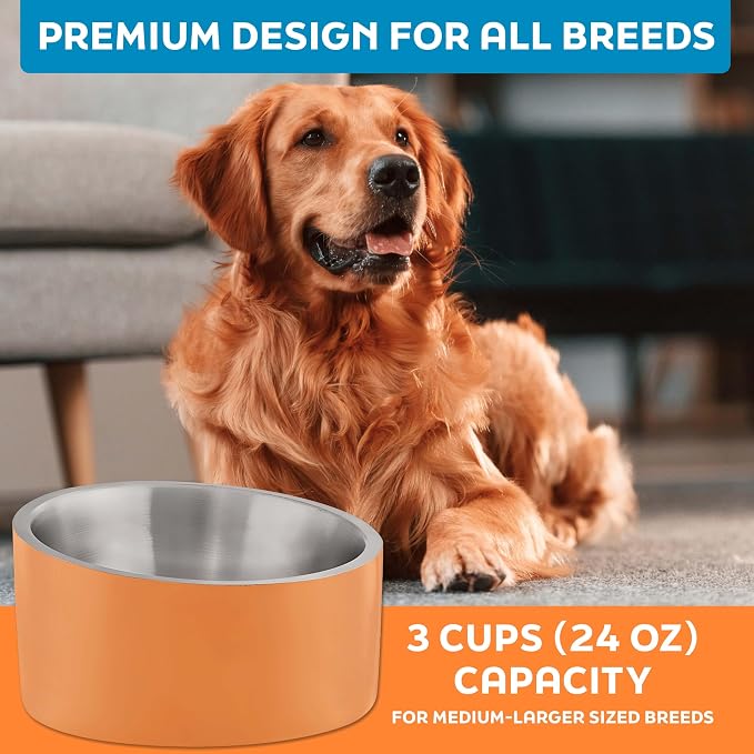Master Pet Supply Stainless Steel Slanted Dog Cat Food Bowl 24 oz Mango | Heavy Duty Double Wall Insulated Non-Slip Elevated Bowl for French Bulldogs Pugs Cats Anti Rust Dishwasher Safe, Mango Tango - Image 7
