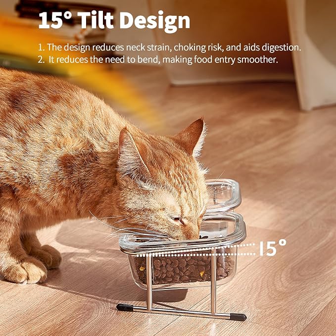 Elevated Cat Bowls, 15° Tilted Glass Raised Cat Food and Water Bowl | Stainless Steel Stand, 2 Large Capacity Glass Cat Bowls and 4 Anti Slip Feet, Suitable for Cats and Little Dogs - Image 2