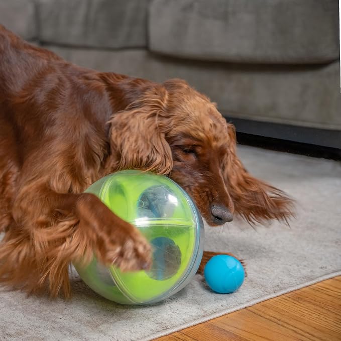 Outward Hound by Nina Ottosson A-Maze Ball Dog Treat Puzzle Ball, Level 2 Intermediate, Green - Image 8