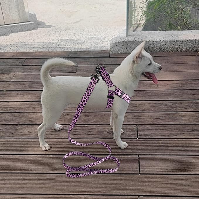 Dog Harness Leash Set Adjustable Heavy Duty No Pull Halter Harnesses for Small Medium Large Breed Dogs Back Clip Anti-Twist Perfect for Walking - Image 7