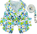 BAEJMJK Dog Harness and Leash Set with Bow Knot No Pull Pet Daisy Floral Harness with D-Ring Soft Mesh Dog Harness Vest Set Escape Proof Princess Puppy Harness for Small Girl Dogs Cats（Blue A M） by BAEJMJK