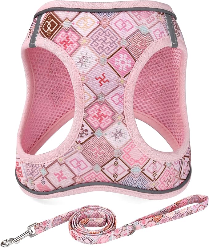 Mihqy Step in Dog Harness and Leash Set, Soft Breathable Mesh, Pink Grid,XS | Reflective, Adjustable No Pull Harnesses for Small Dogs Puppy and Cats, Lightweight Vest Harnesses, Fashion Floral Design by Mihqy