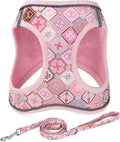 Mihqy Step in Dog Harness and Leash Set, Soft Breathable Mesh, Pink Grid,XS | Reflective, Adjustable No Pull Harnesses for Small Dogs Puppy and Cats, Lightweight Vest Harnesses, Fashion Floral Design by Mihqy