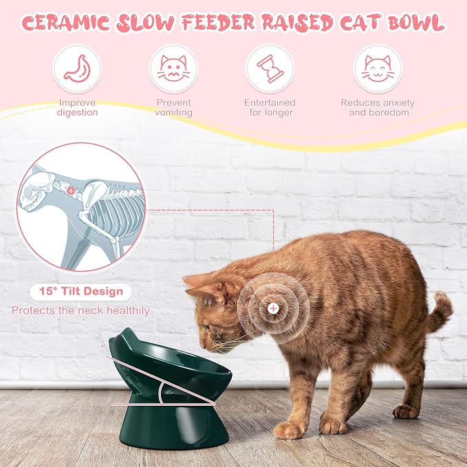 Funnymoom 2 Pcs Ceramic Raised Slow Feeder Cat Bowl, 5.91inch Elevated Cat Slow Feeder Bowl Tilted Anti Vomiting for Dry Wet Food and Water Easy to Clean High Edge(Dark Green, Pink) - Image 4