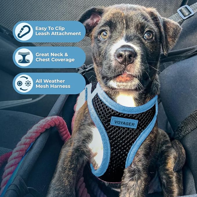 Voyager Step-in Air Dog Vest Harness - Black/Blue Trim, X-Large | 20.5 - 23" in Chest, Reflective Bands, All Weather Breathable Air Mesh, Cats Compatible, Lightweight, Fast Drying - Image 3