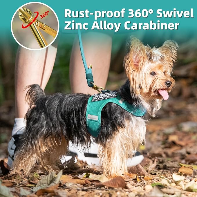 5FT Dog Leash 5/16 inch Puppy Cat Rope Lead | Marrs Green, with Anti-tangle Swivel Clip, Comfortable Non-slip Grip Handle, Ideal for Daily Walks, for Small Medium Dogs - Image 6