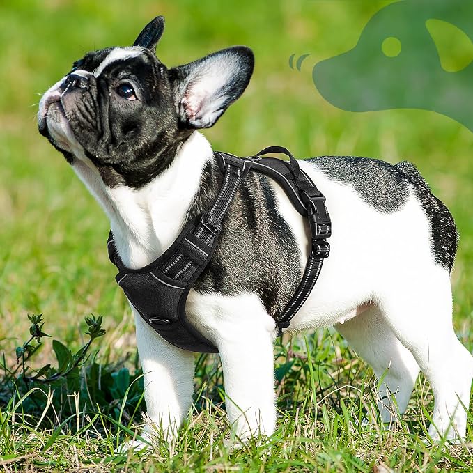 Eagloo Dog Harness for Small Dogs, No Pull Pet Vest with 2 Leash Clips | No Choke with Handle, Adjustable Comfort Fit, Reflective Strips, Easy Walking Control, Black, Small - Image 9