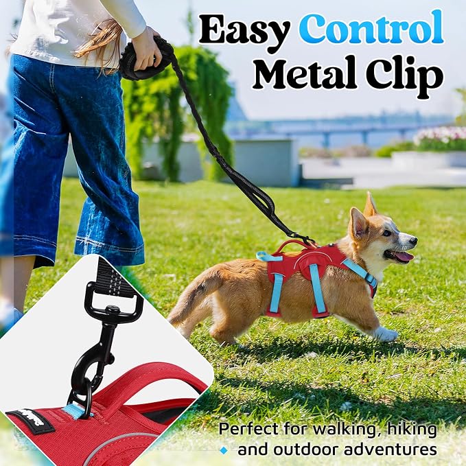 rabbitgoo Escape Proof Dog Harness for Small, No Pull with Lift Handle | No Escape, Full Soft Padded, Reflective Adjustable Vest, Leash Clip for Walking Hiking Training, Sky Blue & Red, Small - Image 5