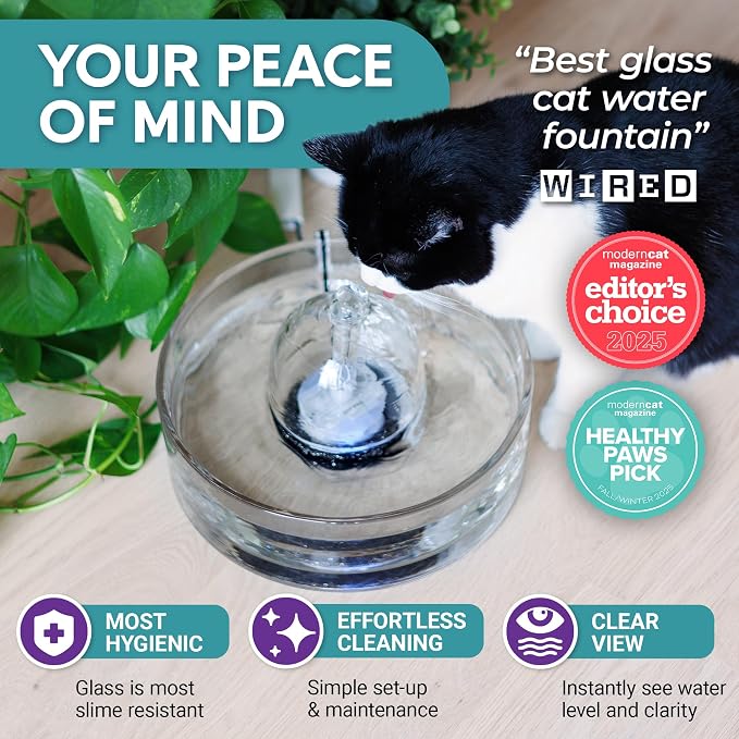 Brook Glass Cat Water Fountain 90oz – Dishwasher Safe Pet & Dog Fountain | Automatic 2.7L drinking water dispenser – quiet, easy to clean glass bowl, filters included – for indoor cats, kittens & dogs - Image 3