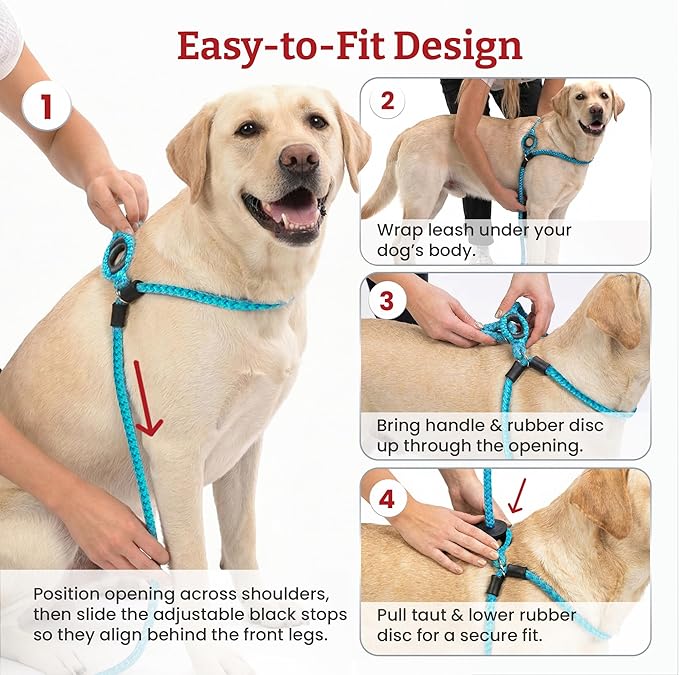 Harness Lead No Pull Dog Harness and Leash Set, Anti Pull Dog Harness for All Breeds and Sizes, One-Piece Cushioned Rope Design Safely Prevents Escaping and Pulling (Medium/Large, Blue/Multi) - Image 3