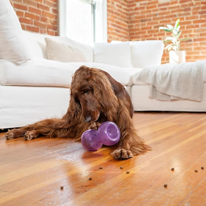 Outward Hound Double Snoop Interactive Treat Dispensing Dog Toy, Purple, 6" | Rolls & Bounces, Treat Stuffer, Puzzle Ball & Slow Feeder, Enrichment, Mint Scented, Easy Clean, No BPA, Medium to Large Dogs - Image 8