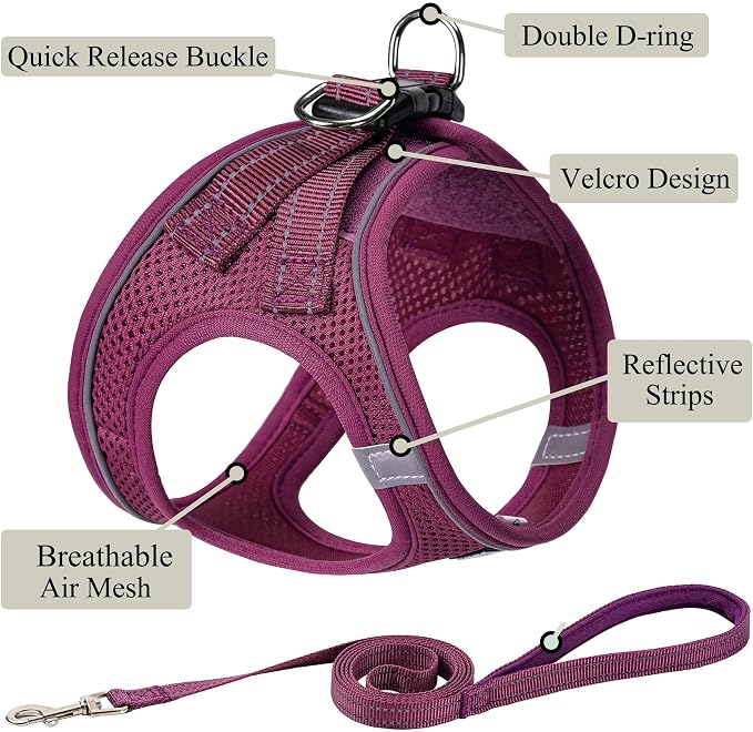 Dog Harness with Leash Set, Step-in Adjustable Puppy Pet Vest, Cranberry M | Lightweight Breathable Air Mesh, Night Safety Reflective, No Pull Puppy Vest Harnesses for Small Medium Large Dogs, Cats - Image 2