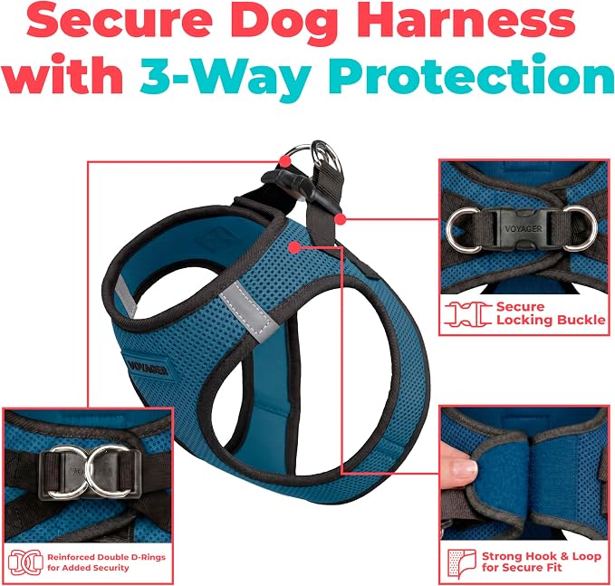 Voyager Step-in Air Dog Vest Harness - Blue/Black Trim, XX-Small | 12 - 13.5" in Chest, Reflective Bands, All Weather Breathable Air Mesh, Cats Compatible, Lightweight, Fast Drying - Image 2