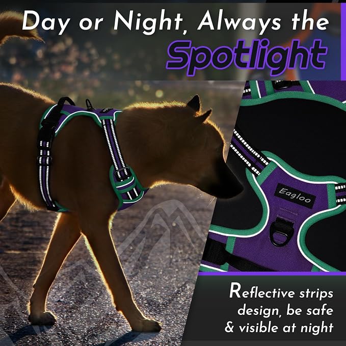 Eagloo Dog Harness for Large Dogs, No Pull Pet Vest with 2 Leash Clips | No Choke with Handle, Adjustable Comfort Fit, Reflective Strips, Easy Walking Control, Purple & Turquoise, X-Large - Image 7