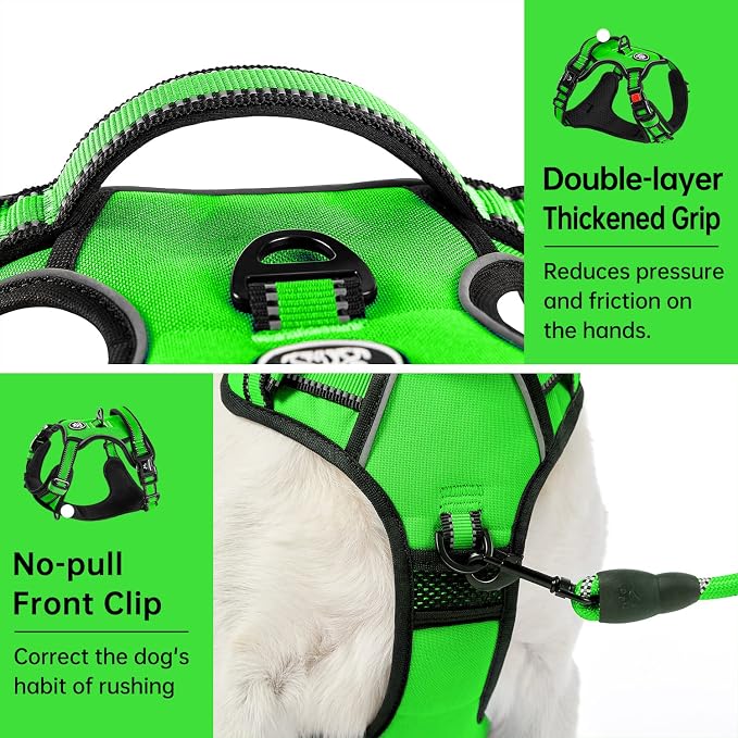 IVY&LANE No Pull Dog Harness for Small Dogs, Dog Vest Harness with Leash, Safety Belt and Storage Strap, Fully Adjustable Harness, 360° Reflective Strip, Soft Handle (Green,S) - Image 5