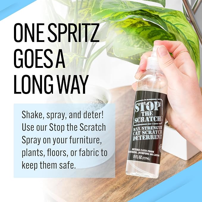 Stop the Scratch Cat Scratch Spray Deterrent – Rosemary Oil, 8 oz | Protect Couches & Carpets — plant-safe, non-toxic spray redirects cats from furniture, drapes & floors, fresh botanical scent - Image 6