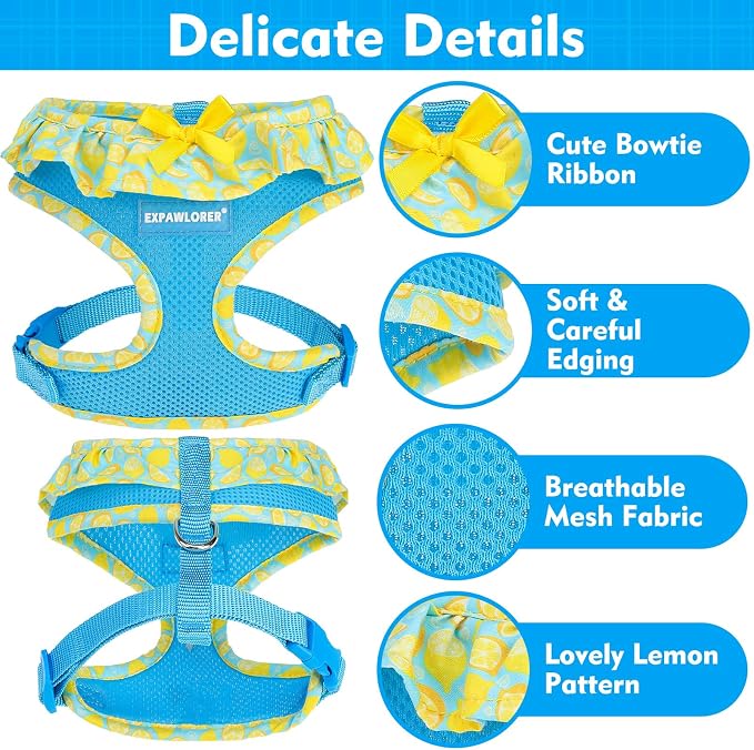 EXPAWLORER Step-in Dog Harness Small Sized and Leash Set | Cute Small Dog Harness No Pull Girl, Breathable Soft Mesh Padded, Adjustable Light Puppy Vest for Dogs Cats, Lemon S - Image 4