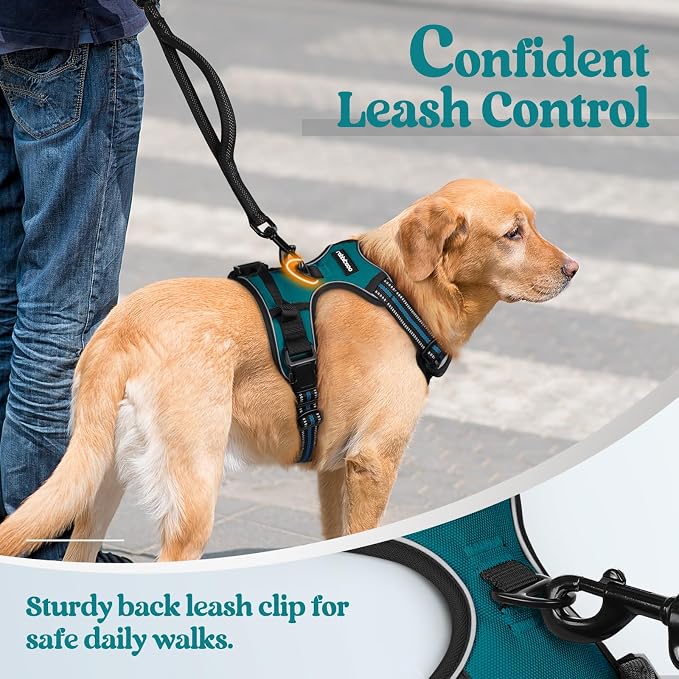 rabbitgoo Dog Harness, No Pull Medium Sized with 2 Leash Clips, Pet Vest | No Choke with Handle, Adjustable Soft Padded, Reflective, Easy Control for Walking, Blue Coral, Medium - Image 6
