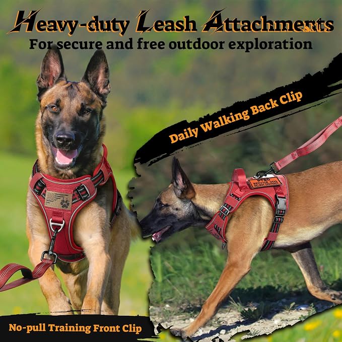rabbitgoo Tactical Dog Harness for Large Dogs, No Pull Service Pet Vest | Military Molle System & Easy Control Handle, Adjustable and Reflective for Walking and Training, Red, Large - Image 3
