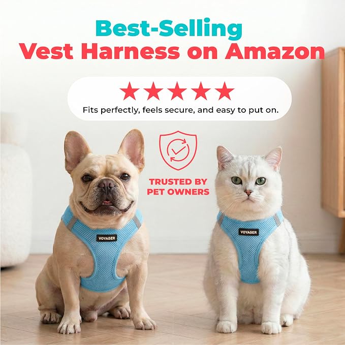 Voyager Step-in Air Dog Vest Harness - Baby Blue, Large | 18- 20.5" in Chest, Reflective Bands, All Weather Breathable Air Mesh, Cats Compatible, Lightweight, Fast Drying - Image 6