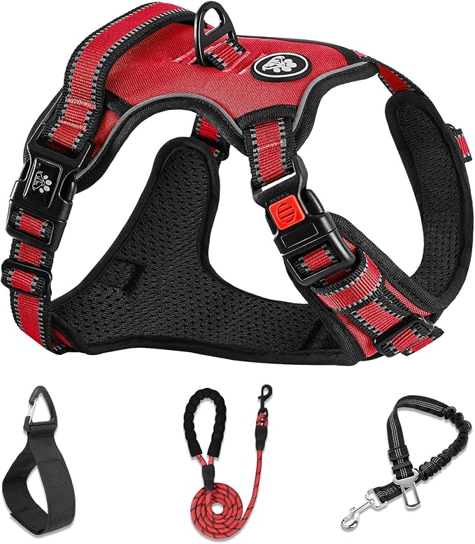 NESTROAD No Pull Dog Harness,Adjustable Oxford Dog Vest Harness with Leash,Reflective No-Choke Pet Harness with Easy Control Soft Handle for Small Dogs(Small,Red) by NESTROAD