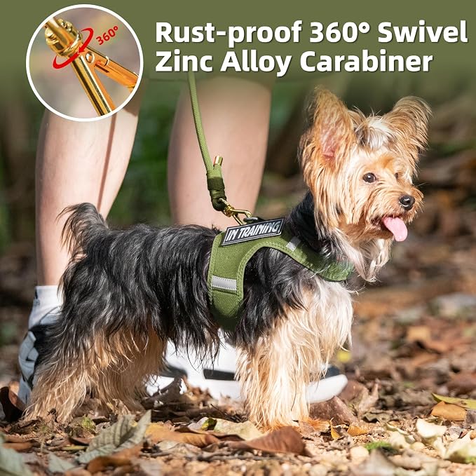 5FT Dog Leash 5/16 inch Puppy Cat Rope Lead | Misty Green, with Anti-tangle Swivel Clip, Comfortable Non-slip Grip Handle, Ideal for Daily Walks, for Small Medium Dogs - Image 6