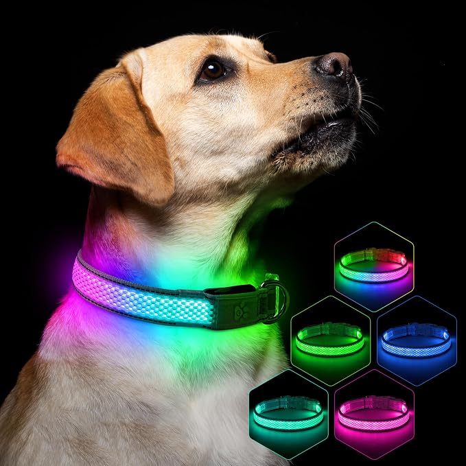 Flashseen Light up Collars for Dogs at Night, RGB 9-Mode, USB Rechargeable | Color Changing LED Lighted Dog Collar, Super Bright Adjustable Glow Collar for Night Walking (Lavender, Medium) by Flashseen