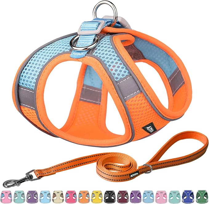AIITLE Small Dog Harness and Leash Set, Step-in Puppy Pet Vest, Orange XXS | Breathable Mesh, Adjustable Fit, Reflective Design, Padded Leash Handle, for Small-Medium Dogs & Cats, Walking, Training by AIITLE-FORPETSBETTERLIFE